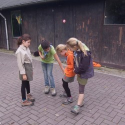 DSC 0258 - Scouts en Gidsen Zaventem 